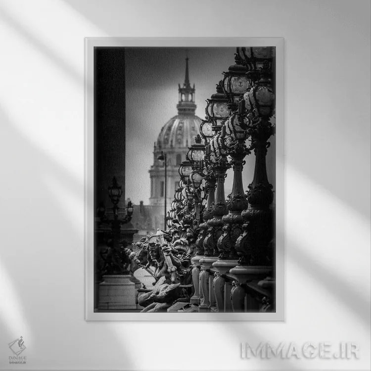تابلو دکوراتیو جزئیات پل پاریس در سیاه و سفید اثر الکساندر ونانسیو - نمای قابدار سفید
