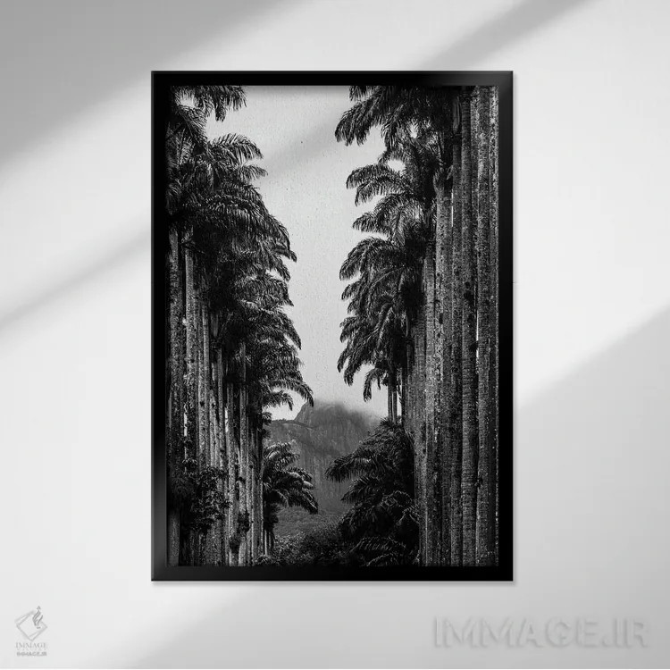 تابلو دکوراتیو سه لتی باغ گیاه شناسی ریودوژانیرو C اثر الکساندر ونانسیو - نمای قابدار مشکی