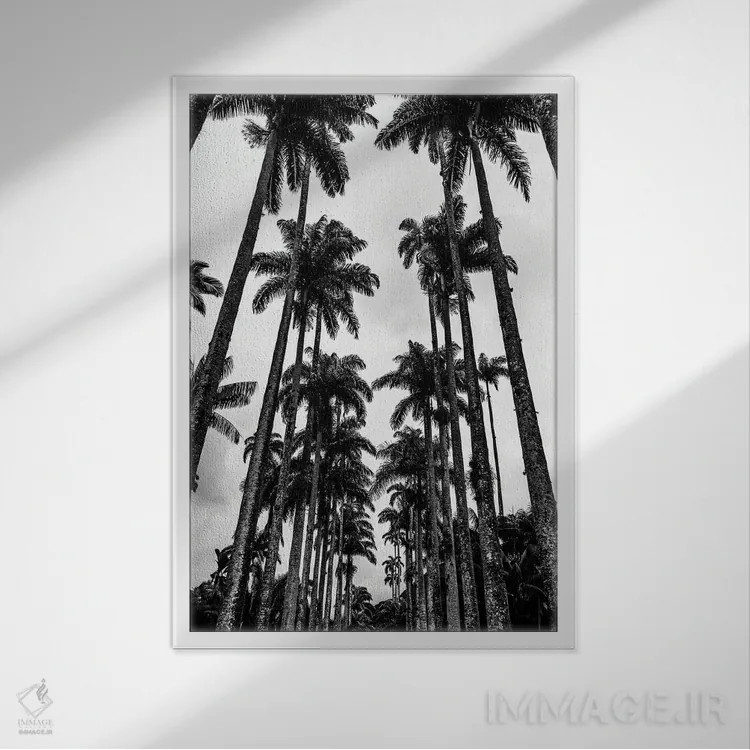 تابلو دکوراتیو سه لتی باغ گیاه شناسی ریودوژانیرو B اثر الکساندر ونانسیو - نمای قابدار سفید