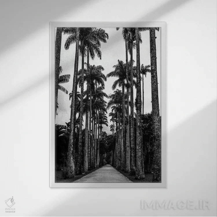 تابلو دکوراتیو سه لتی باغ گیاه شناسی ریودوژانیرو A اثر الکساندر ونانسیو - نمای قابدار سفید