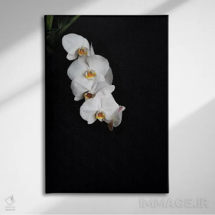 تابلو دکوراتیو گل ها با زمینه سیاه D اثر الکساندر ونانسیو - نمای روبهرو روی دیوار
