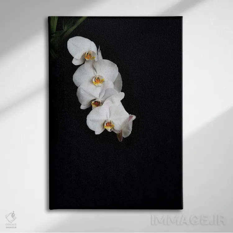 تابلو دکوراتیو گل ها با زمینه سیاه D اثر الکساندر ونانسیو - نمای روبهرو روی دیوار