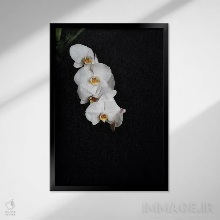 تابلو دکوراتیو گل ها با زمینه سیاه D اثر الکساندر ونانسیو - نمای قابدار مشکی