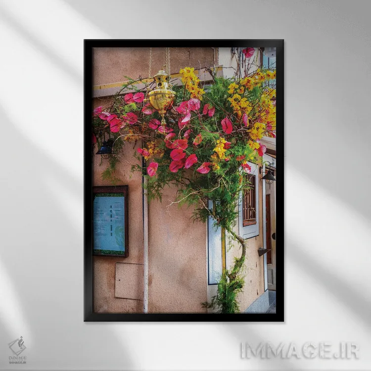 تابلو دکوراتیو Spain Flowers,گل های شهر تولدو، اسپانیا اثر الکساندر ونانسیو - نمای قابدار مشکی