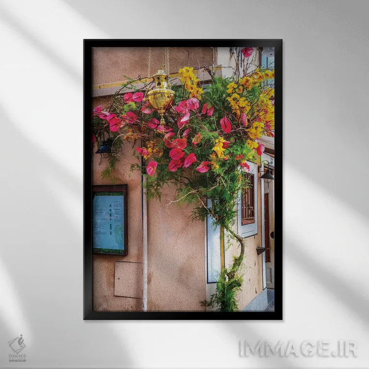 تابلو دکوراتیو Spain Flowers,گل های شهر تولدو، اسپانیا اثر الکساندر ونانسیو - نمای قابدار مشکی