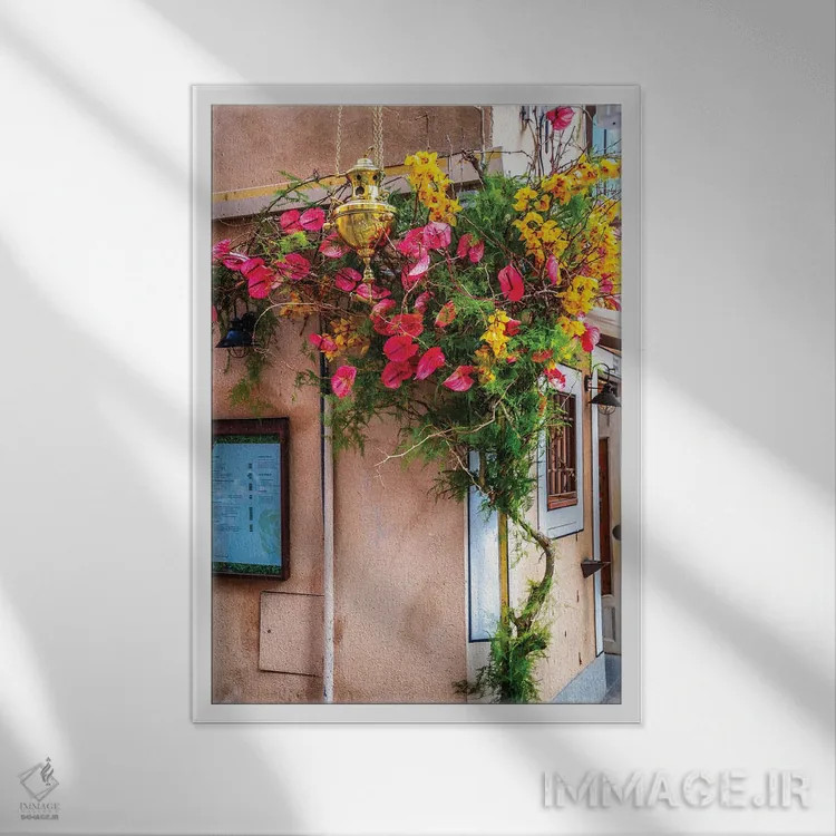 تابلو دکوراتیو Spain Flowers,گل های شهر تولدو، اسپانیا اثر الکساندر ونانسیو - نمای قابدار سفید