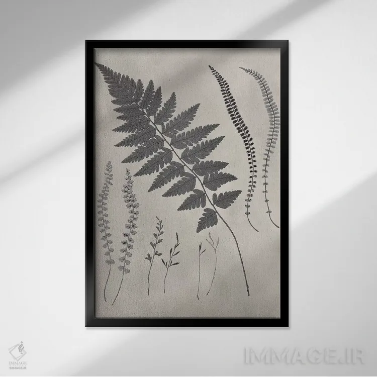 تابلو دکوراتیو مطالعه سرخس قدیمی II اثر ویژن استودیو - نمای قابدار مشکی