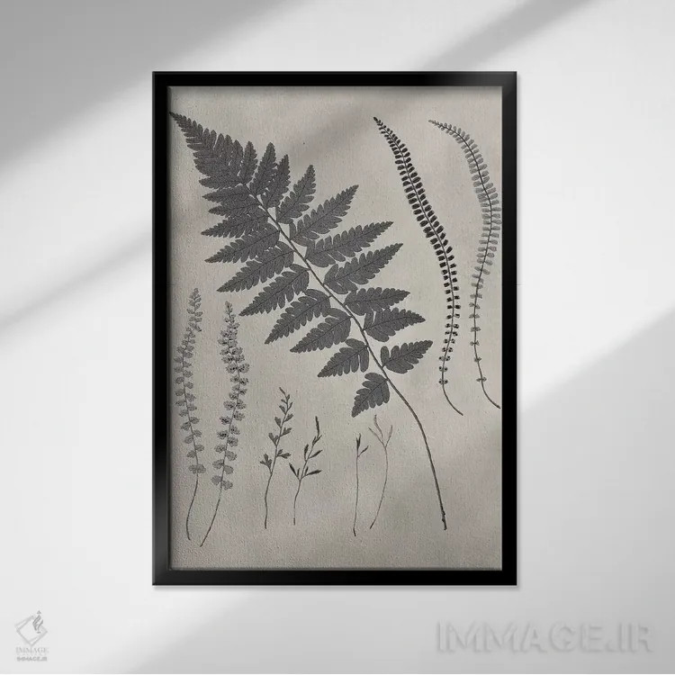 تابلو دکوراتیو مطالعه سرخس قدیمی II اثر ویژن استودیو - نمای قابدار مشکی