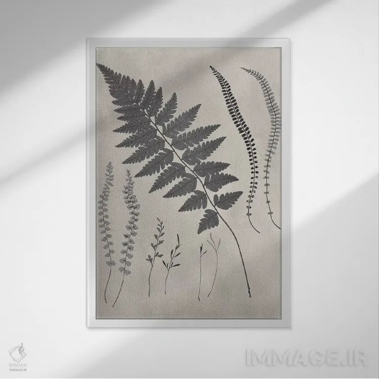 تابلو دکوراتیو مطالعه سرخس قدیمی II اثر ویژن استودیو - نمای قابدار سفید