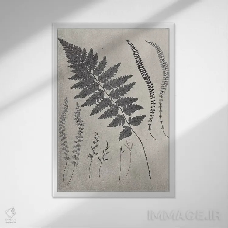 تابلو دکوراتیو مطالعه سرخس قدیمی II اثر ویژن استودیو - نمای قابدار سفید
