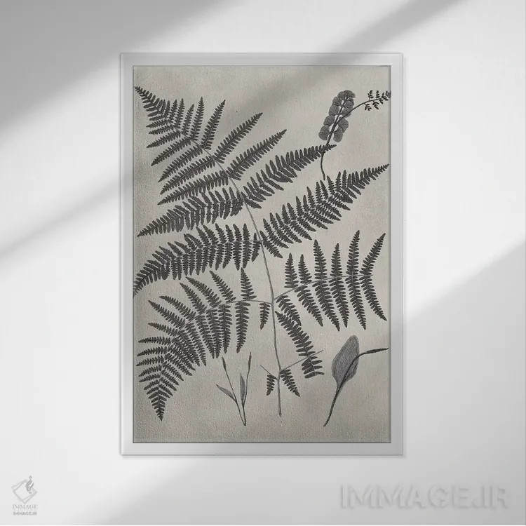 تابلو دکوراتیو مطالعه سرخس قدیمی IV اثر ویژن استودیو - نمای قابدار سفید