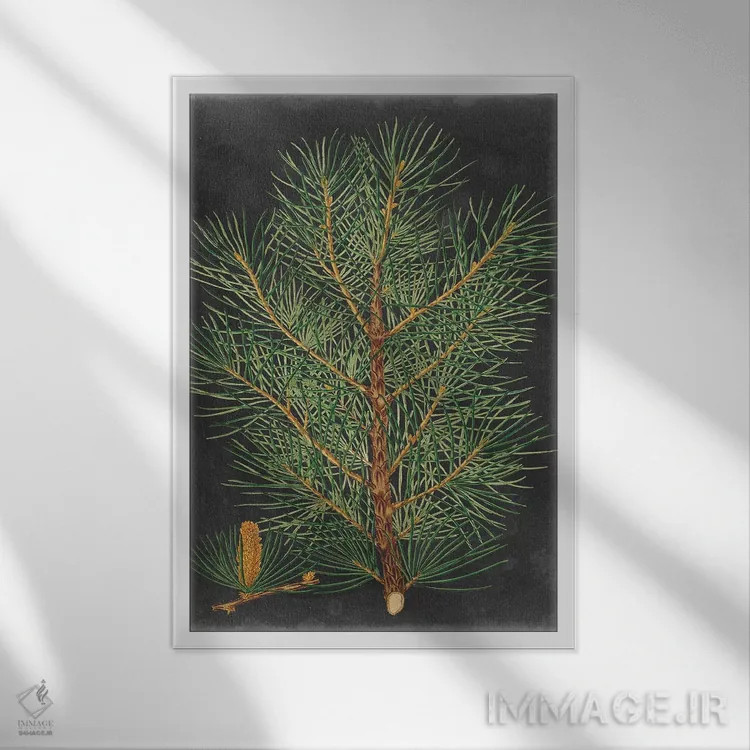 تابلو دکوراتیو کاج نمایشی II اثر ویژن استودیو - نمای قابدار سفید