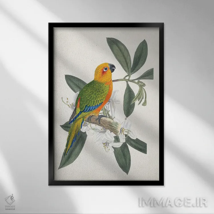 تابلو دکوراتیو پرنده و گل استوایی I اثر ویژن استودیو - نمای قابدار مشکی