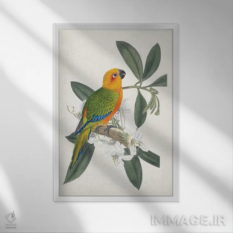 تابلو دکوراتیو پرنده و گل استوایی I اثر ویژن استودیو - نمای قابدار سفید