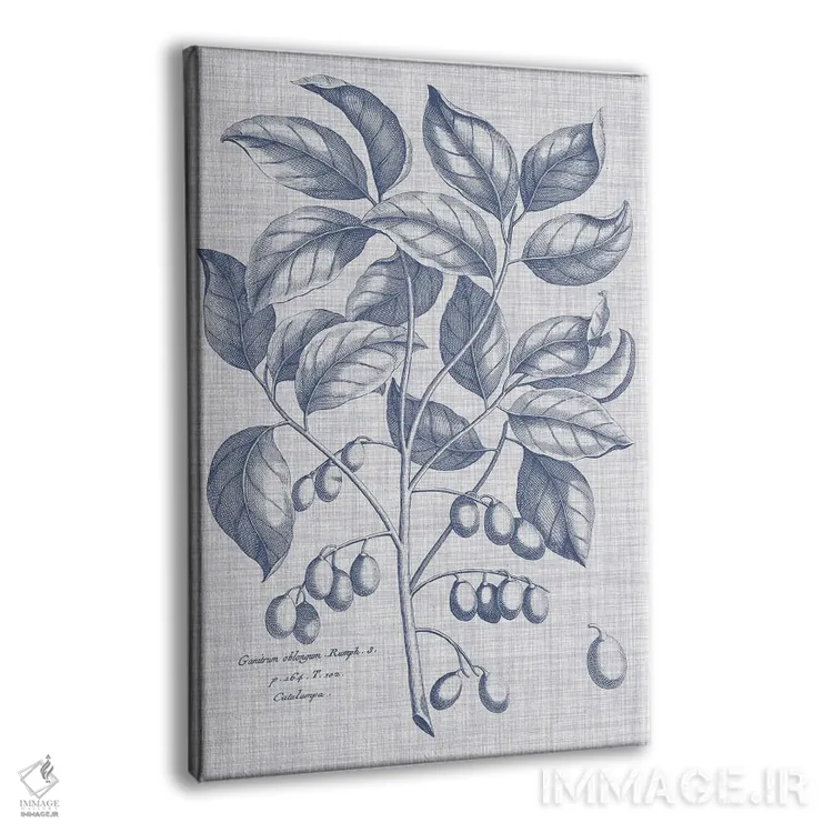 تابلو دکوراتیو نباتات سرمه ای و کتان II اثر ویژن استودیو - نمای پرسپکتیو محصول