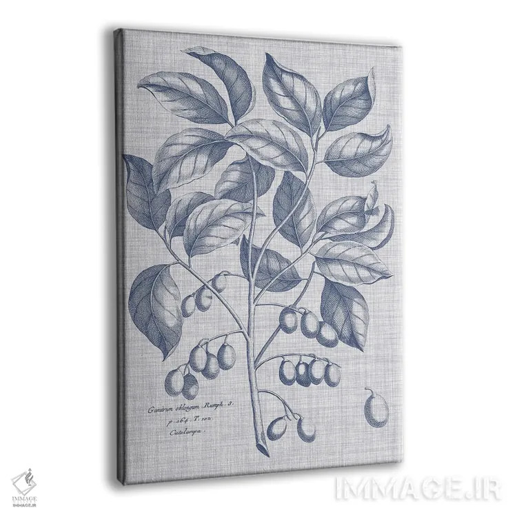 تابلو دکوراتیو نباتات سرمه ای و کتان II اثر ویژن استودیو - نمای پرسپکتیو محصول