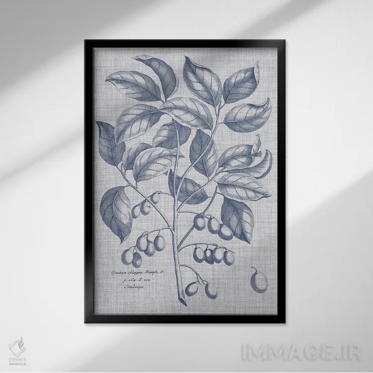 تابلو دکوراتیو نباتات سرمه ای و کتان II اثر ویژن استودیو - نمای قابدار مشکی