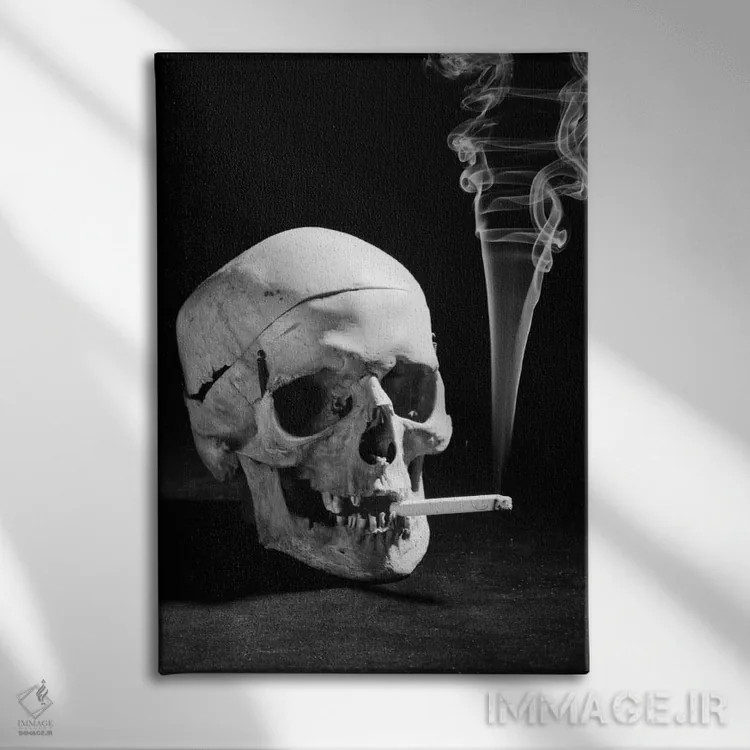 تابلو دکوراتیو جمجمه انسان در حال سیگار کشیدن دهه ۱۹۳۰ اثر تصاویر وینتج - نمای روبهرو روی دیوار