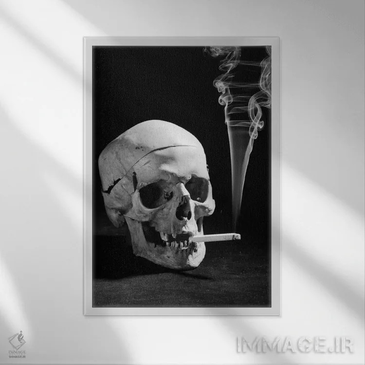 تابلو دکوراتیو جمجمه انسان در حال سیگار کشیدن دهه ۱۹۳۰ اثر تصاویر وینتج - نمای قابدار سفید