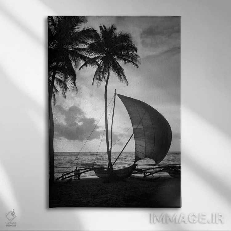 تابلو دکوراتیو دهه ۱۹۳۰ یک کاتاماران تنها در ساحل گرمسیری هنگام غروب درخت… اثر تصاویر وینتج - نمای روبهرو روی دیوار