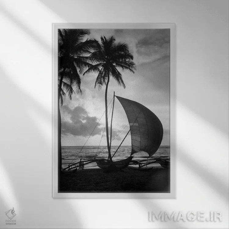 تابلو دکوراتیو دهه ۱۹۳۰ یک کاتاماران تنها در ساحل گرمسیری هنگام غروب درخت… اثر تصاویر وینتج - نمای قابدار سفید