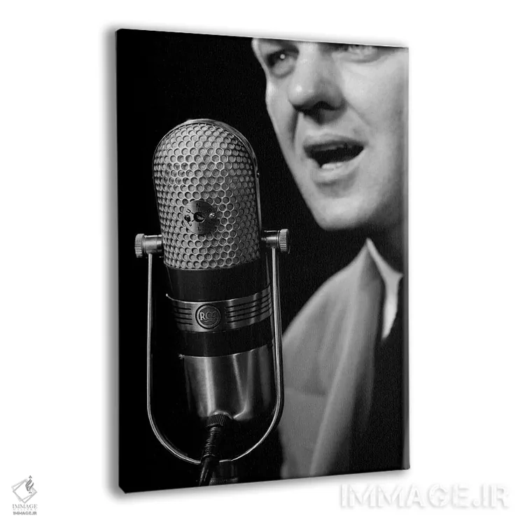 تابلو دکوراتیو نمای نزدیک گوینده مرد در حال صحبت مقابل میکروفون ، نمادی ا… اثر تصاویر وینتج - نمای پرسپکتیو محصول