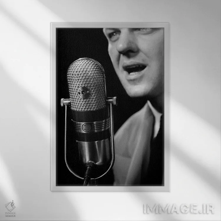 تابلو دکوراتیو نمای نزدیک گوینده مرد در حال صحبت مقابل میکروفون ، نمادی ا… اثر تصاویر وینتج - نمای قابدار سفید