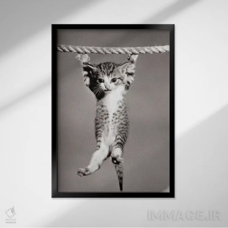تابلو دکوراتیو بچه گربه کوچکی از طناب آویزان شده و به دوربین نگاه می کند اثر تصاویر وینتج - نمای قابدار مشکی