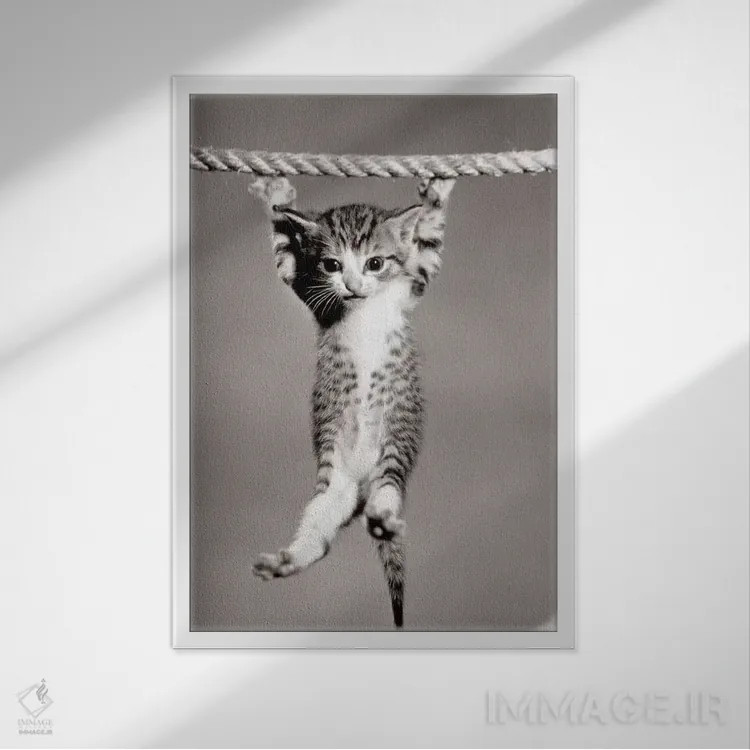 تابلو دکوراتیو بچه گربه کوچکی از طناب آویزان شده و به دوربین نگاه می کند اثر تصاویر وینتج - نمای قابدار سفید
