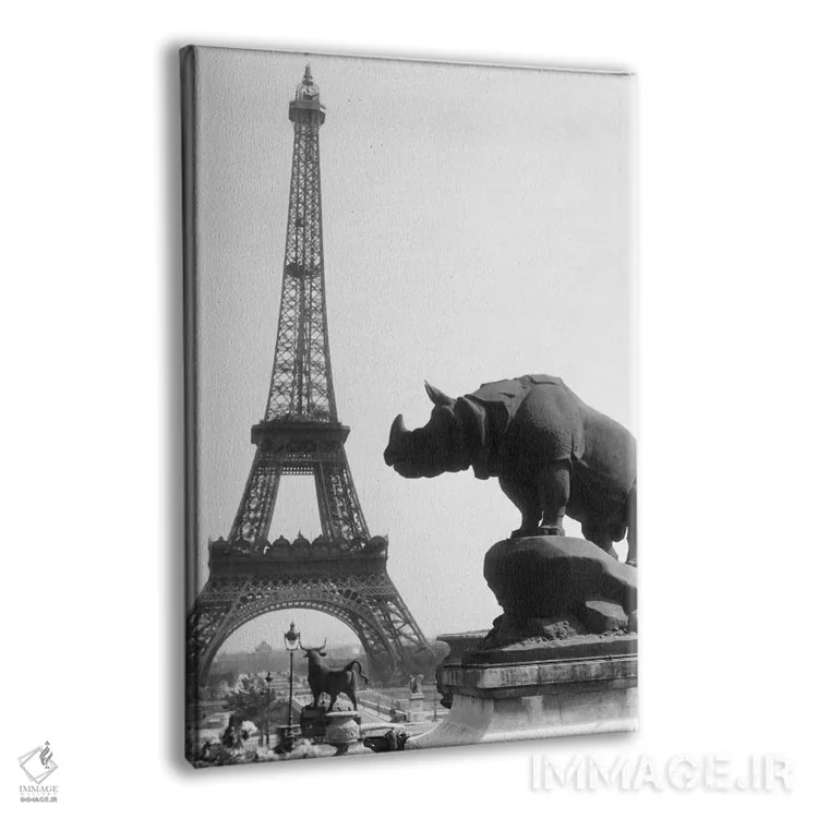 تابلو دکوراتیو مجسمه کرگدن در پیش زمینه و برج ایفل در پس زمینه پاریس اثر تصاویر وینتج - نمای پرسپکتیو محصول