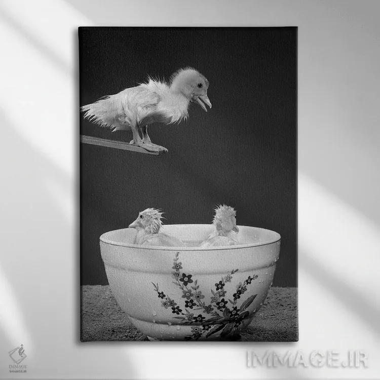 تابلو دکوراتیو دهه ۱۹۵۰ - جوجه اردکی روی تخته پرش که به دو جوجه اردک دیگر… اثر تصاویر وینتج - نمای روبهرو روی دیوار