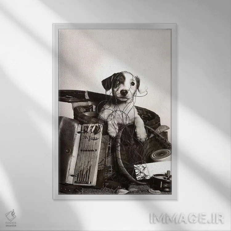 تابلو دکوراتیو سگ بیرون آمده از سبد و گرفتار در وسایل ماهیگیری اثر تصاویر وینتج - نمای قابدار سفید