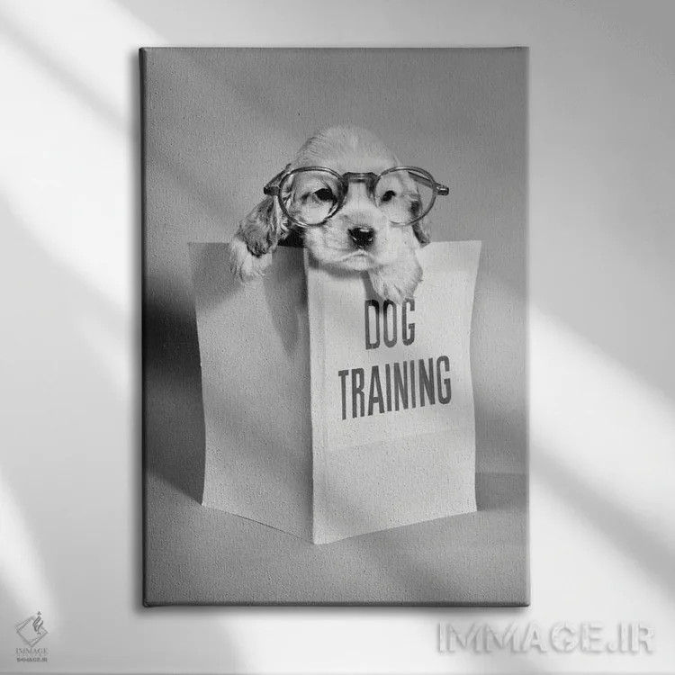 تابلو دکوراتیو توله سگ کاکر اسپانیل با عینک و دست روی کتاب راهنمای آموزش… اثر تصاویر وینتج - نمای روبهرو روی دیوار