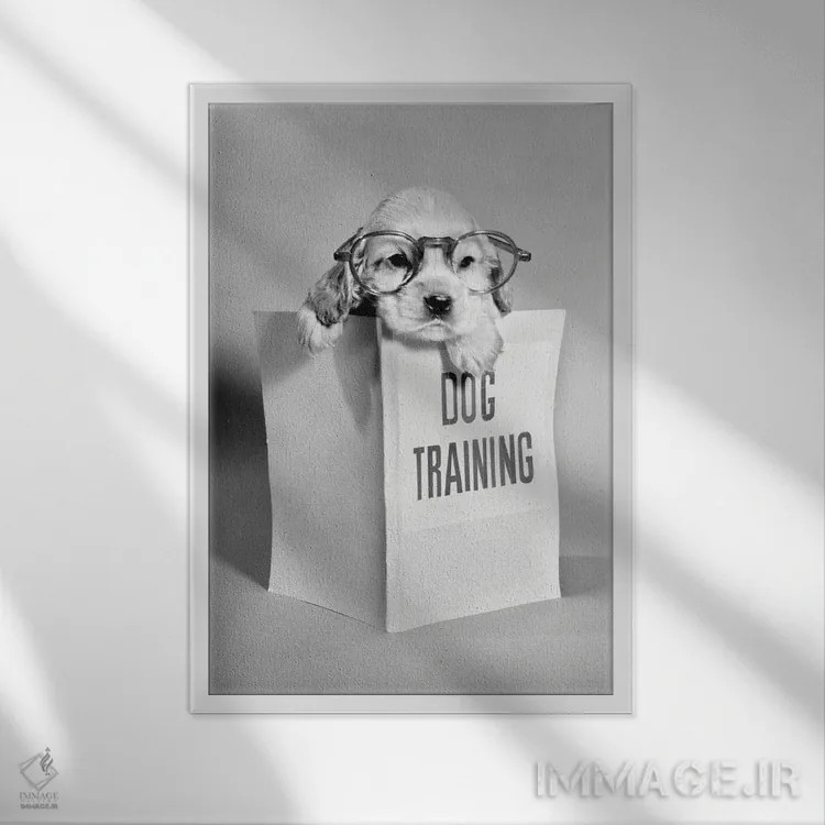 تابلو دکوراتیو توله سگ کاکر اسپانیل با عینک و دست روی کتاب راهنمای آموزش… اثر تصاویر وینتج - نمای قابدار سفید