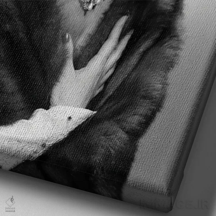 تابلو دکوراتیو پرتره زن شیک پوش با شنل خز، گردنبند و گوشواره مجلل دهه ۱۹۵… اثر تصاویر وینتج - نمای نزدیک بافت بوم