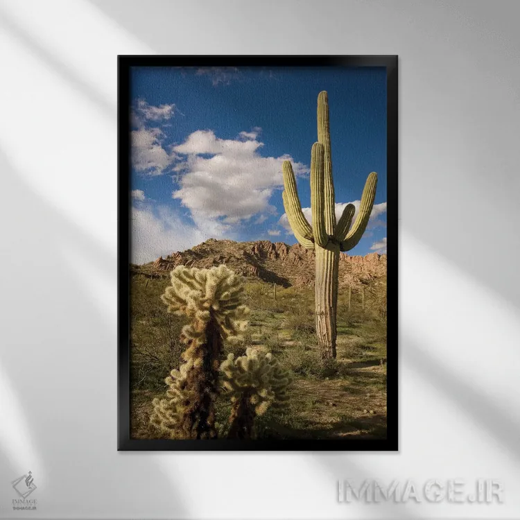 تابلو دکوراتیو Arizona,کاکتوس ساگوارو در بیابان، آریزونا اثر تام وزو - نمای قابدار مشکی