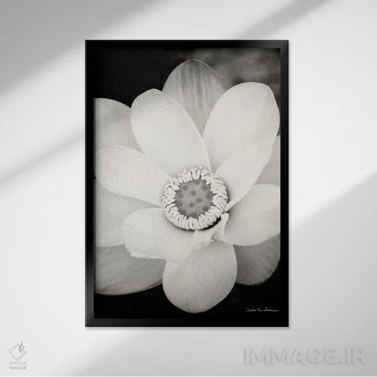 تابلو دکوراتیو گل نیلوفر شماره سه اثر دبرا ون سوارینجن - نمای قابدار مشکی