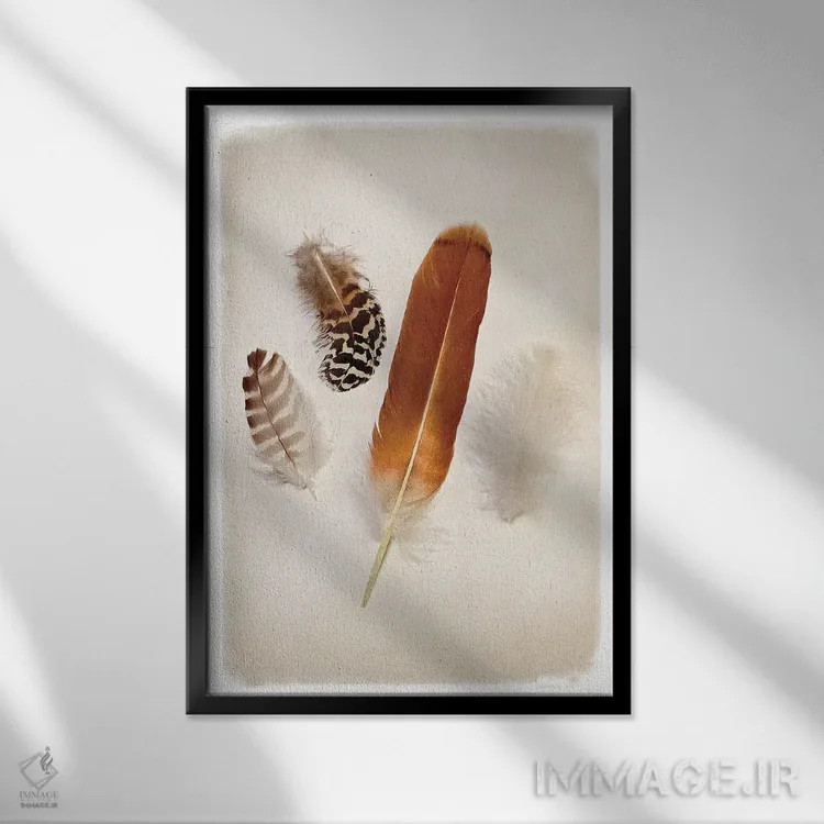 تابلو دکوراتیو گروه پرها I اثر دبرا ون سوارینجن - نمای قابدار مشکی