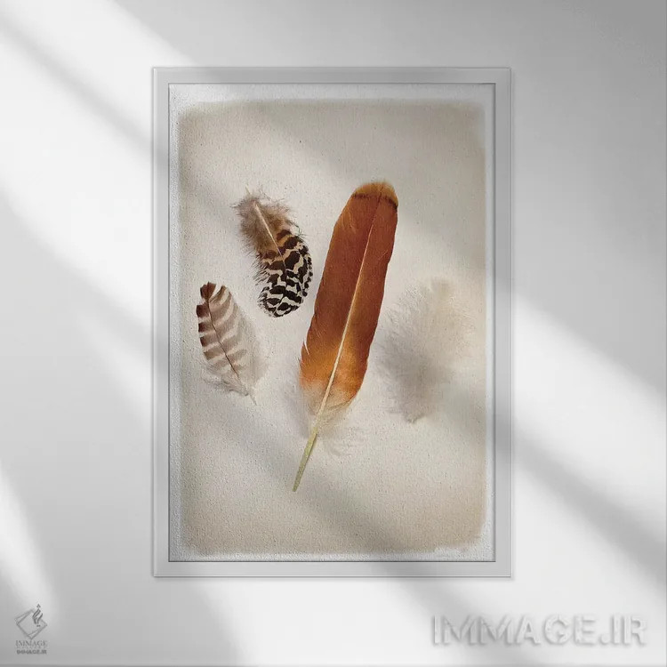 تابلو دکوراتیو گروه پرها I اثر دبرا ون سوارینجن - نمای قابدار سفید