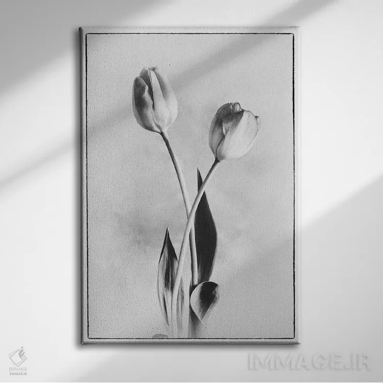 تابلو دکوراتیو لاله های لطیف IV اثر دبرا ون سوارینجن - نمای روبهرو روی دیوار