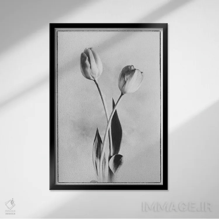 تابلو دکوراتیو لاله های لطیف IV اثر دبرا ون سوارینجن - نمای قابدار مشکی