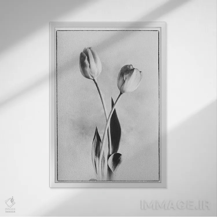 تابلو دکوراتیو لاله های لطیف IV اثر دبرا ون سوارینجن - نمای قابدار سفید