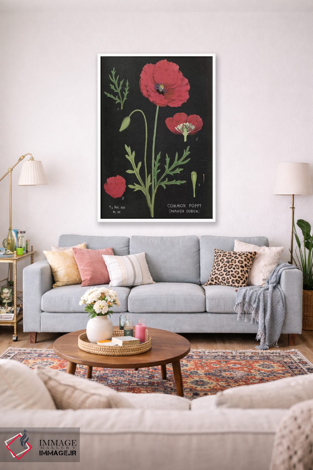 تابلو مدرن نمودار شقایق اثر سو شلاباخ - D1W