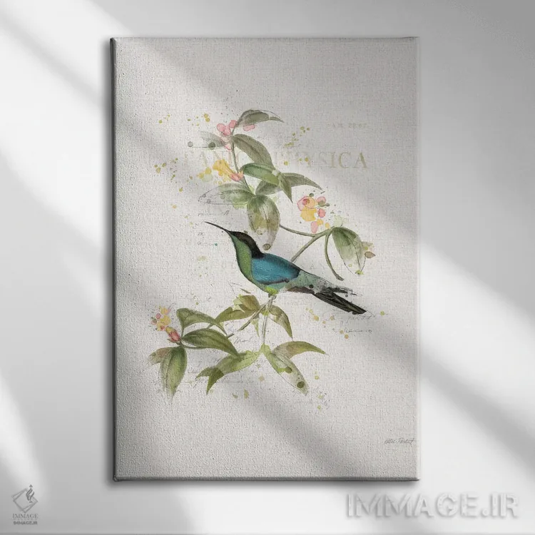 تابلو مدرن مرغان مگس رنگارنگ IV اثر کیتی پرتیه - نمای روبهرو روی دیوار