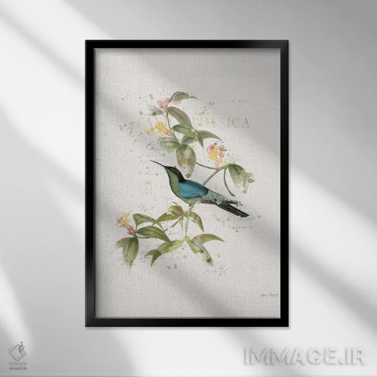 تابلو مدرن مرغان مگس رنگارنگ IV اثر کیتی پرتیه - نمای قابدار مشکی