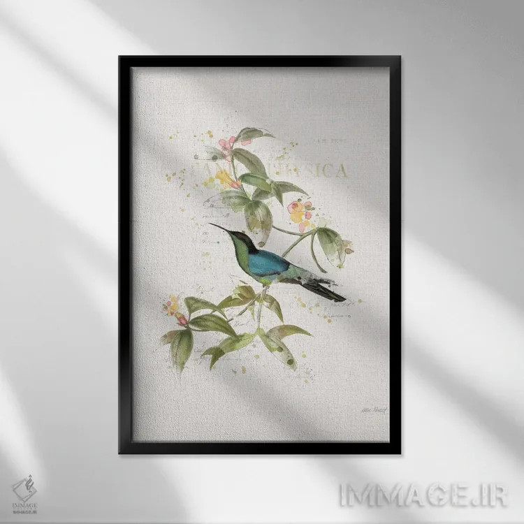 تابلو مدرن مرغان مگس رنگارنگ IV اثر کیتی پرتیه - نمای قابدار مشکی