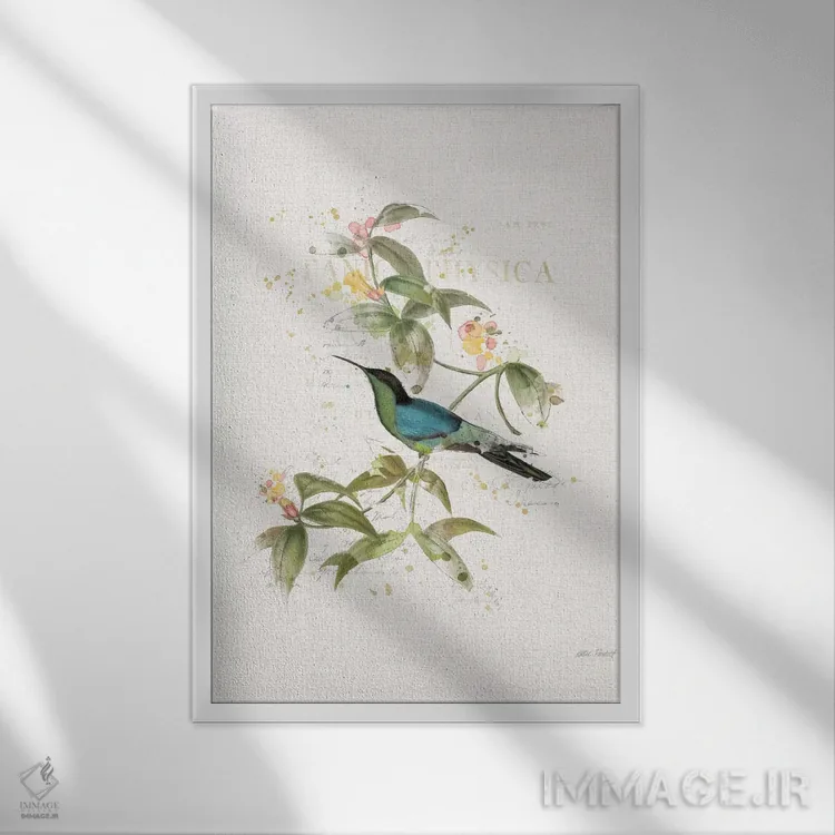 تابلو مدرن مرغان مگس رنگارنگ IV اثر کیتی پرتیه - نمای قابدار سفید