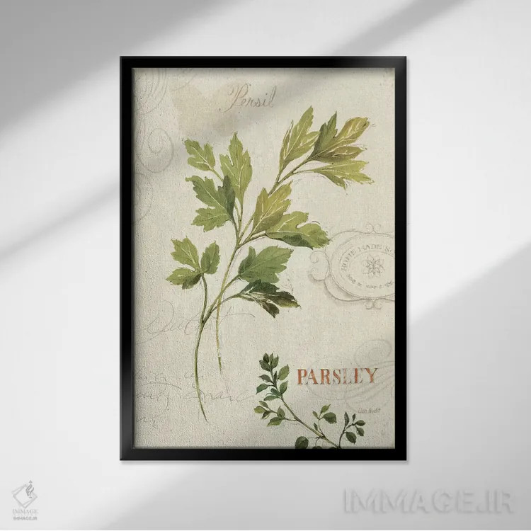تابلو دکوراتیو معطر I اثر لیزا آدیت - نمای قابدار مشکی