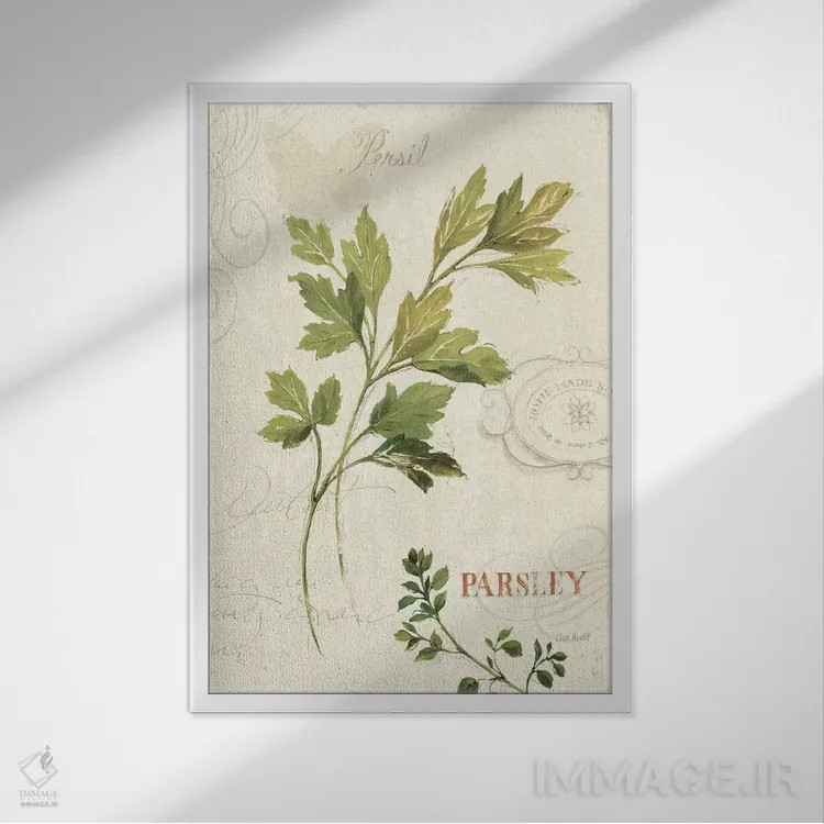 تابلو دکوراتیو معطر I اثر لیزا آدیت - نمای قابدار سفید
