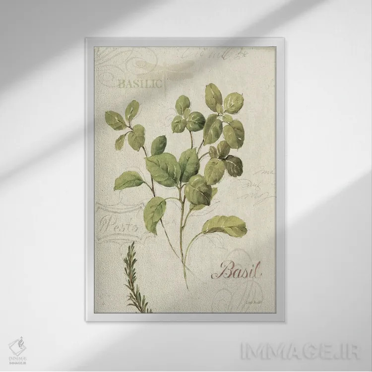 تابلو دکوراتیو معطر III اثر لیزا آدیت - نمای قابدار سفید